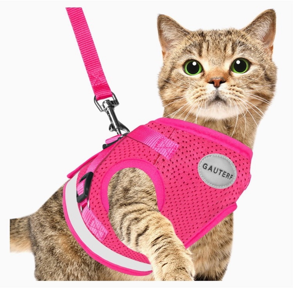 Kitten Harness w/ Leash Set, Escape Proof, Adjustable Reflective Soft Mesh Vest - Picture 4 of 6